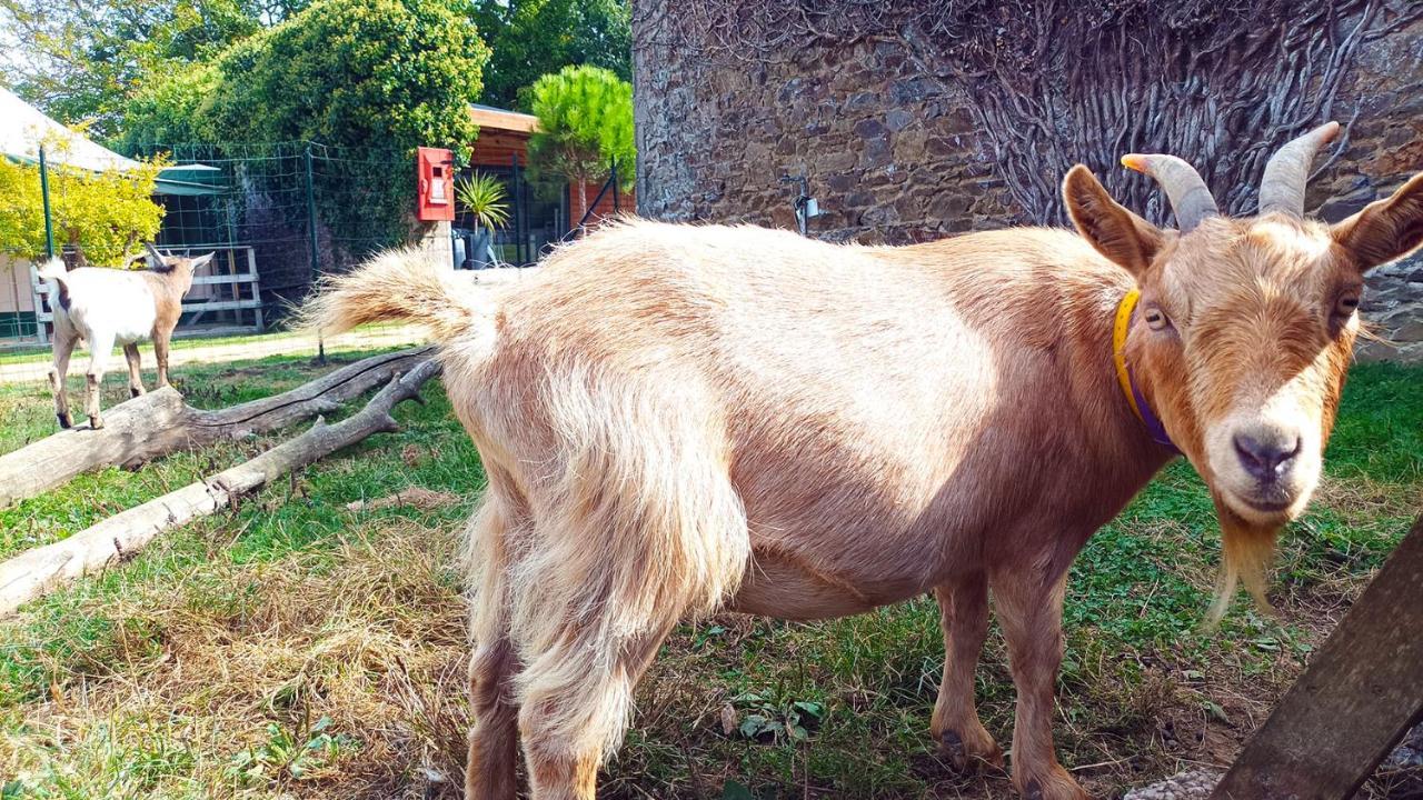 Glamping Terre&Mer Etables-sur-Mer Bagian luar foto